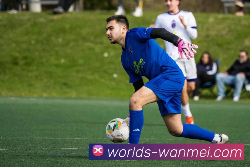 完美体育投注平台平台生态图